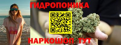 амф Пенза