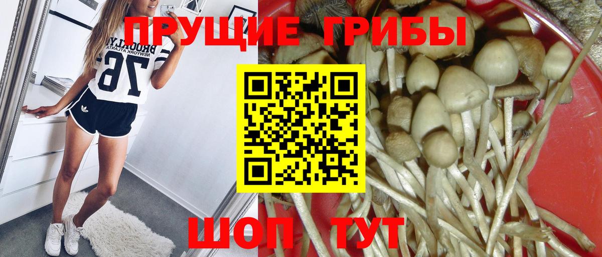 Галлюциногенные грибы Psilocybe  Псилоцибиновые грибы Magic Shrooms  Вход с VPN  Тара 