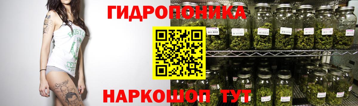 Бошки Шишки White Widow Тара